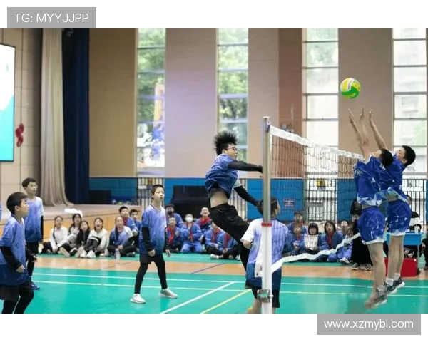 排球心理素质评比揭晓广州排球队荣登第六位展现强大内心力量