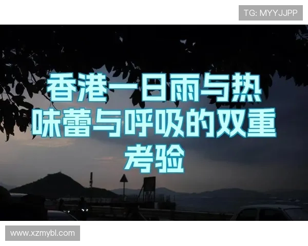 杭州滑板队的反击之路：挑战与成长的双重考验