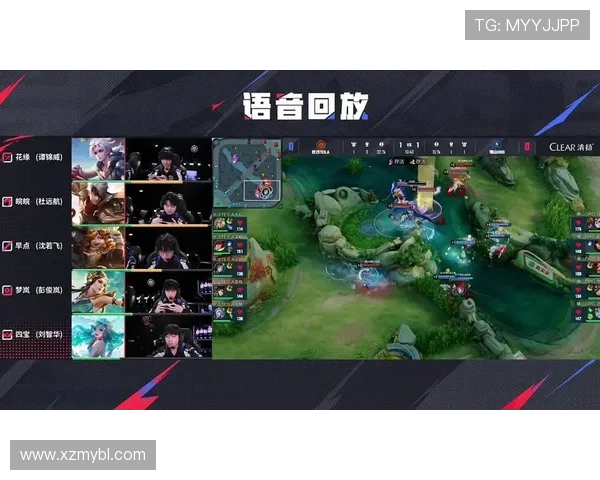 王者荣耀评论：TES的防反得失