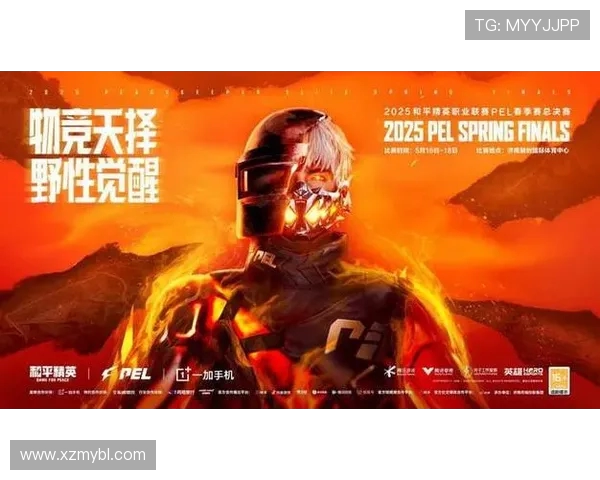 XROCK电子竞技俱乐部：打造顶尖战队推动电竞产业发展新纪元